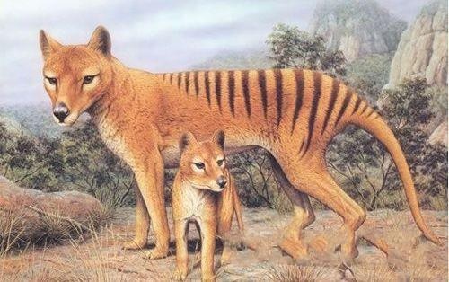 世界之大无奇不有:死而复生的动物之谜,百万年后遇水自然复活