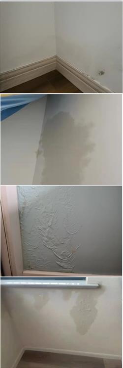 |上海一小区刚交房就有数百户家中渗水，“拼装房工艺不成熟”