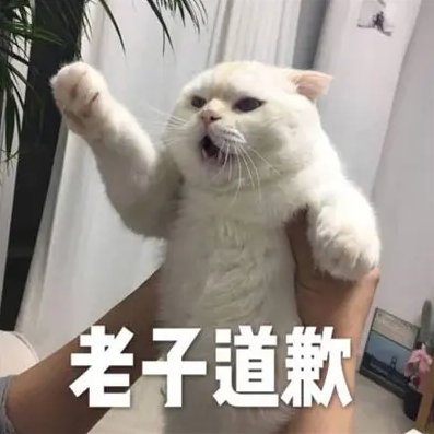 我就是小妮子呀|频繁聊天会产生恋爱的错觉吗？