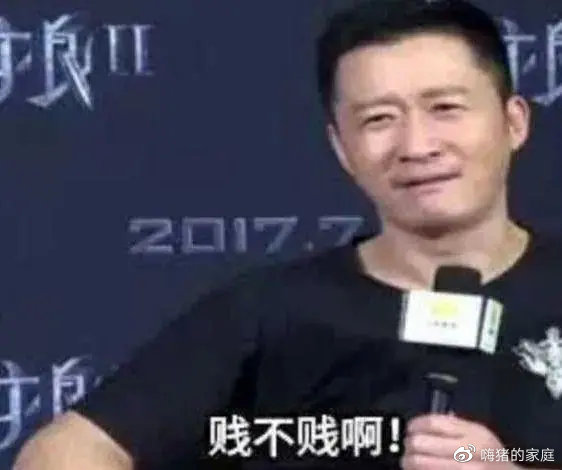 富二代|时隔13年，吴京雪藏的两个儿子首度曝光：硬汉人设，崩塌了！