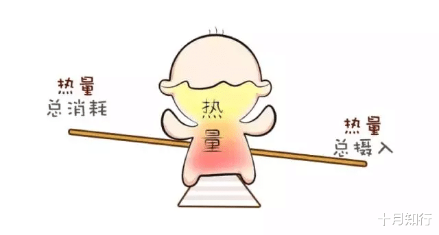 十月知行 皮下脂肪影响身材、内脏脂肪影响健康，如何减掉，收获身材与健康