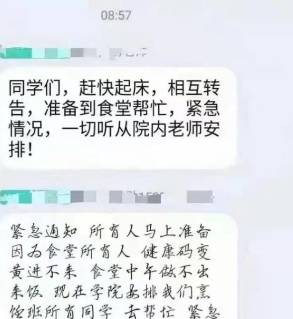 天明情感说 食堂阿姨因黄码不能返校，烹饪专业学生提前上岗，这次手不抖了