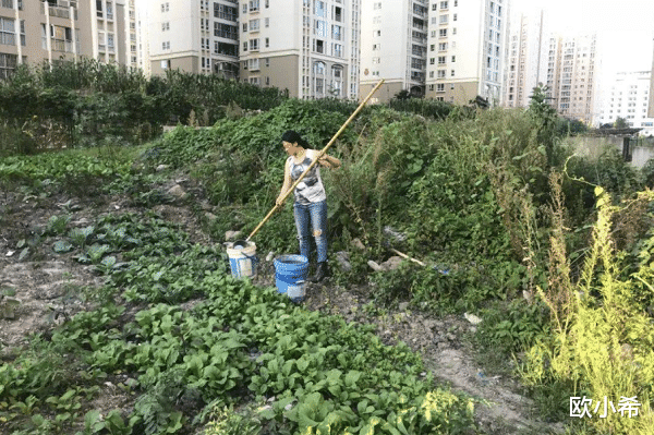 欧小希 婚姻中太要强的女人，会活得很累，还得不到男人的疼爱