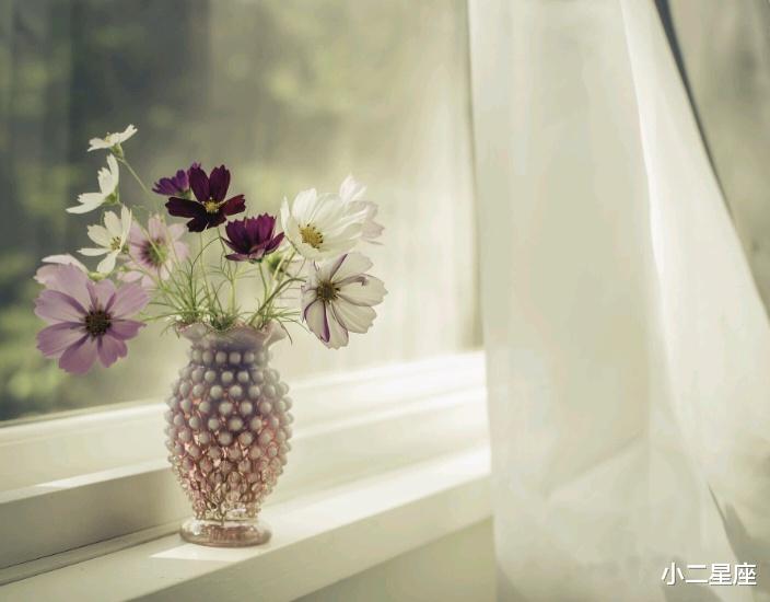 小二星座 “聪明伶俐”,情商高的星座,其实他们什么都懂,只是看穿不说穿