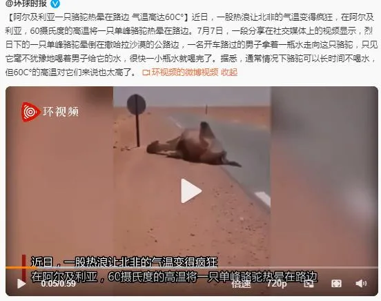 美国 阿拉伯高温73℃、美国50℃致死600人，北极最后冰区融化：地球怎么了？