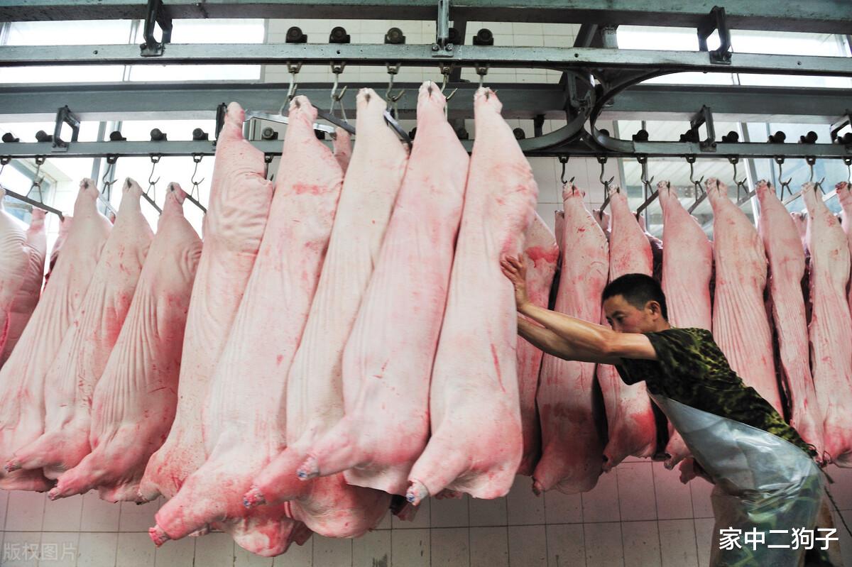 生猪价格 11日猪价加速崩塌，养猪盈利呈现亏损，下跌原因已找到，还要跌？