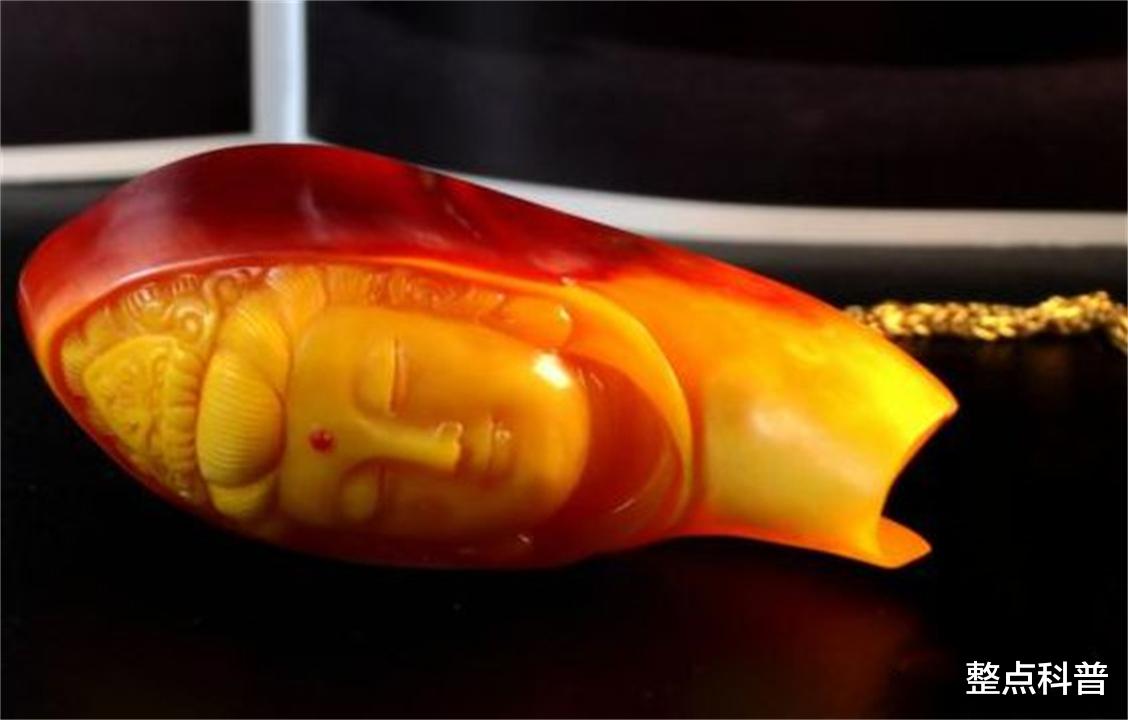 脑袋被人类盯上的鸟，头骨比象牙贵3倍，活着被取骨后只能等死