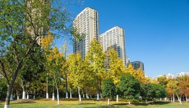 棚户区改造|拆迁停止后，又一个好消息来了？这次有老房子的业主“赚了”