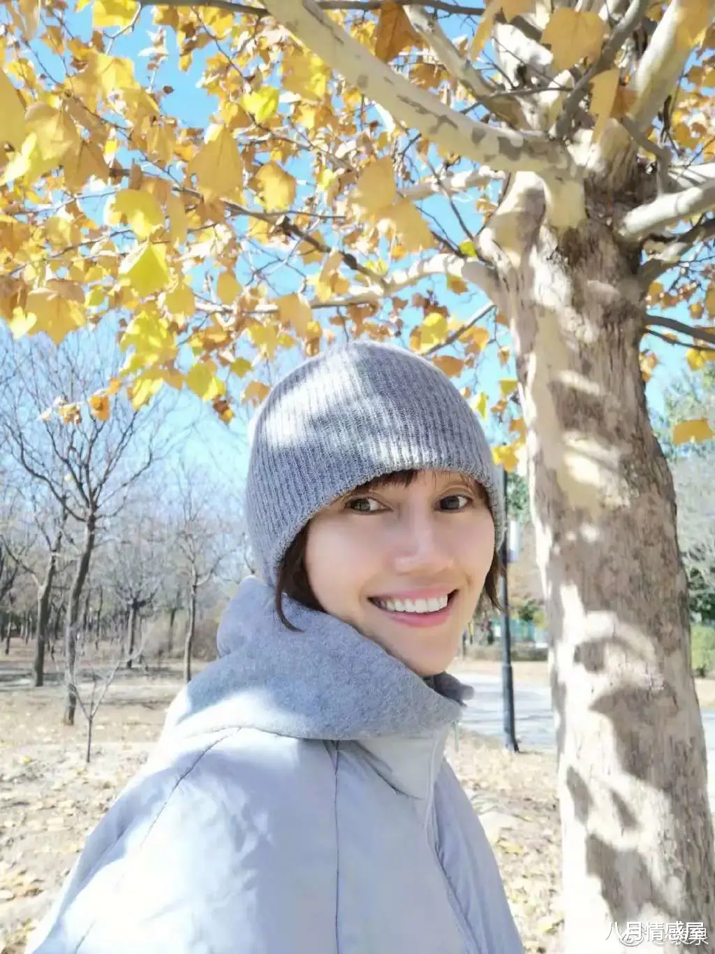 袁泉|袁泉新剧再度封神!碾压倪妮、秒杀刘诗诗,42岁她才是最强王者!