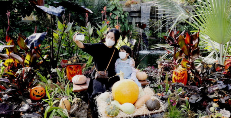 美关商贸 韩国国立世宗树木园的万圣节气氛