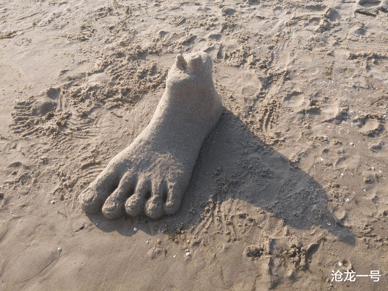 沧龙一号 红黄蓝幼儿园幼师让儿童闻脚？不知道是脚臭还是心臭