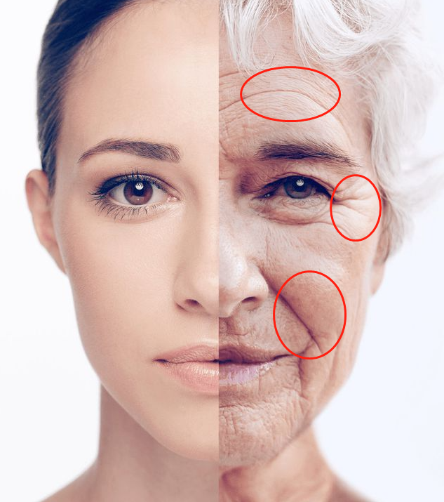 肝脏|这2种食物是皱纹的“加速器”，家家户户都有，女人要少吃！