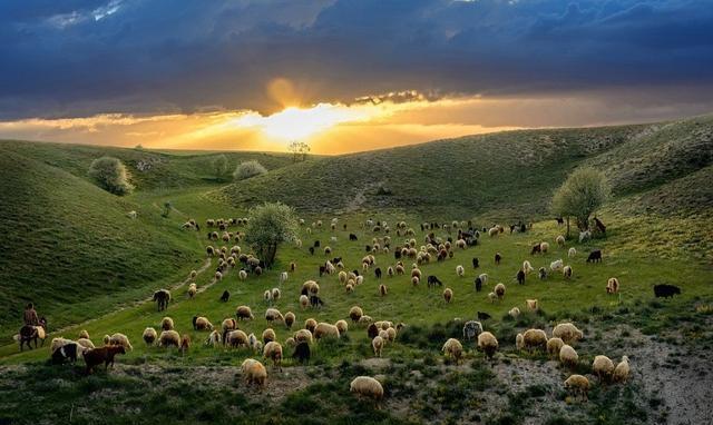 魔力|规则是用来打破,一组神奇的照片,它们的构图使它们变得极具魔力