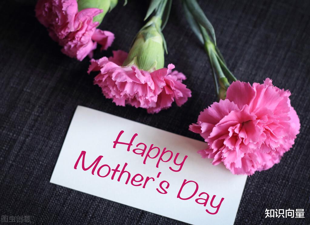 知识向量 母亲节快乐!致敬母亲节