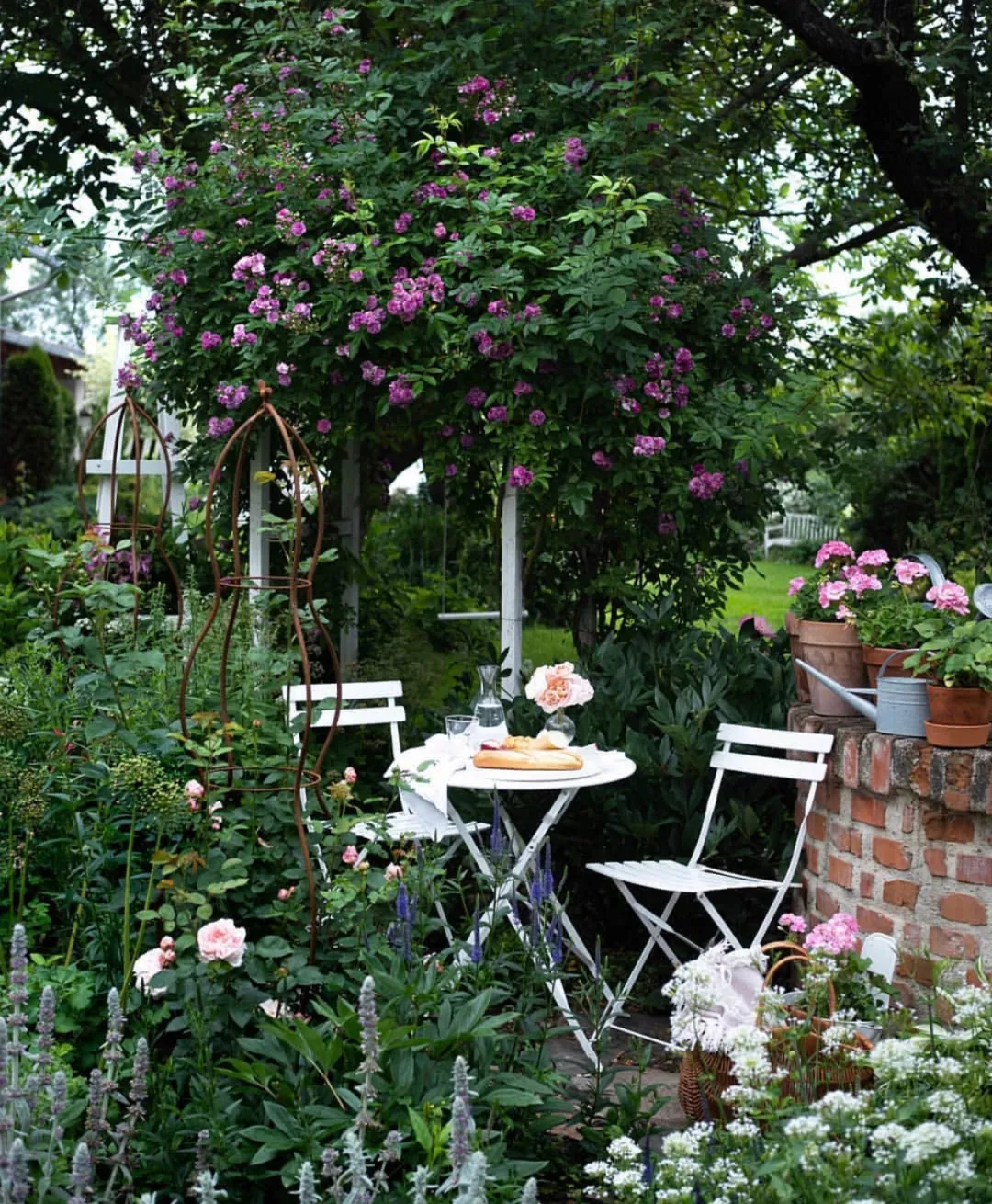 最惬意的生活,其实就是在小院中找到最佳栖居地!