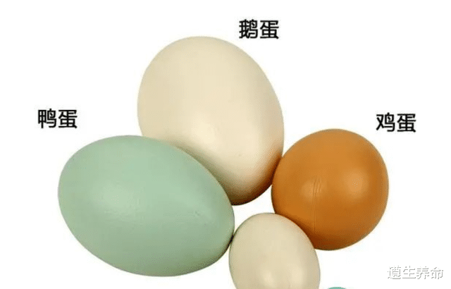 鸡蛋、鸭蛋、鹅蛋,哪个更有营养?医生告诉你答案