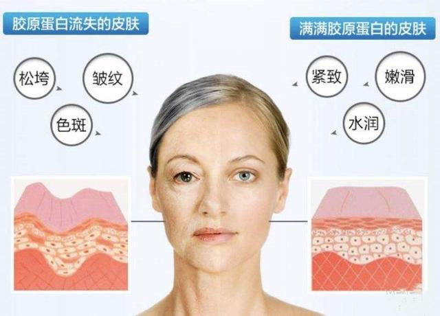 生肖|赵雅芝努力护肤不服老，网友：气质也太好了！看看女神如何抗老