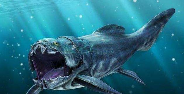 鲨鱼进化：4.5 亿年的时间线