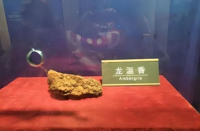抹香鲸 鲸排泄物龙涎香，为什么拉出来的香且比黄金贵，人工取出来的臭？