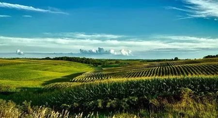 欣欣普法人 租用农民承包地，拆迁补偿款应该归谁？