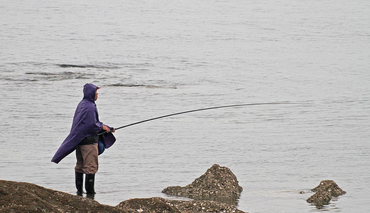 农村见闻|农村俗语“钓鱼穷三年，玩鸟毀一生”是真的吗？