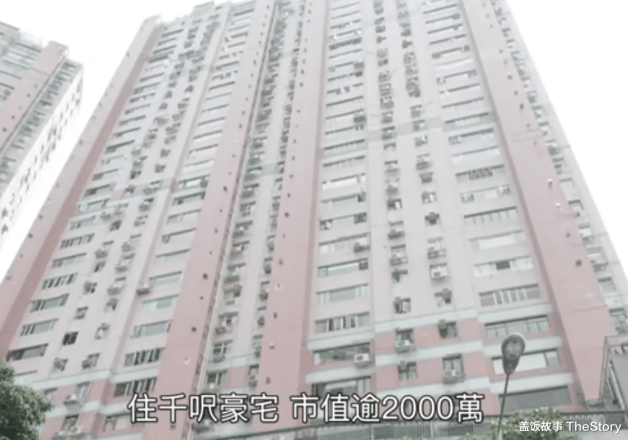 陈文媛|当年因为陈冠希,最惨的不是张柏芝和阿娇,而是她