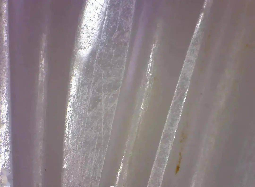 雕刻|浅论汉代玉蝉