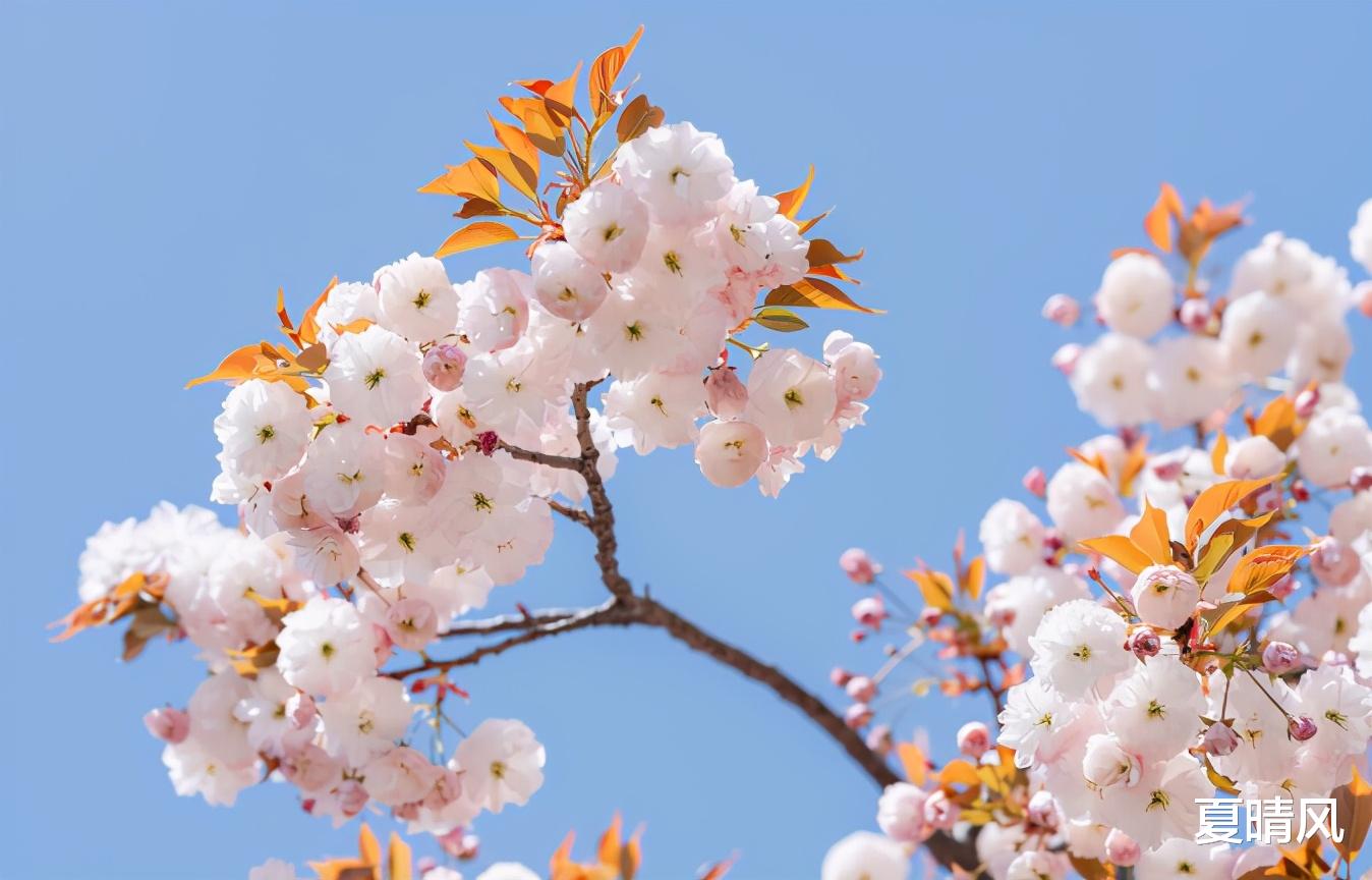 夏晴风 长期不换微信头像的人,有这三种,最后一种最值得深交