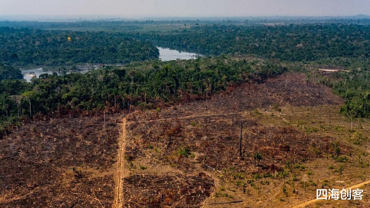 伊隆·马斯克 全球遭遇罕见高温，科威特73度烤化车壳，异常暴热根源是什么？