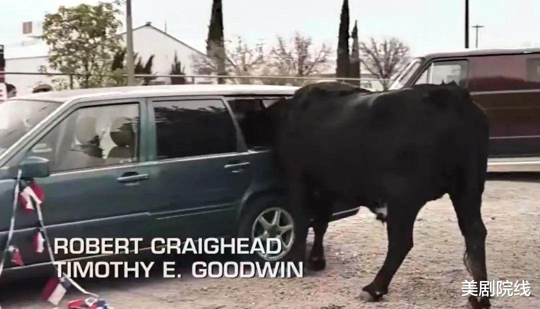 美剧|全程高能，口碑炸裂，这部重口味美剧真够刺激