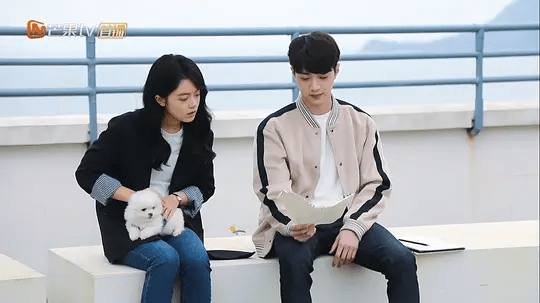 迪丽热巴|5部“女追男”爆火剧，甜度超标根本停不下来，迪丽热巴占了两部