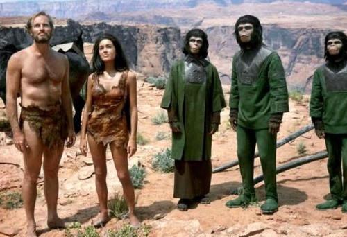 猩猩 苏联当年开展了“人猿杂交”实验，招募了5名女性，结果怎样？