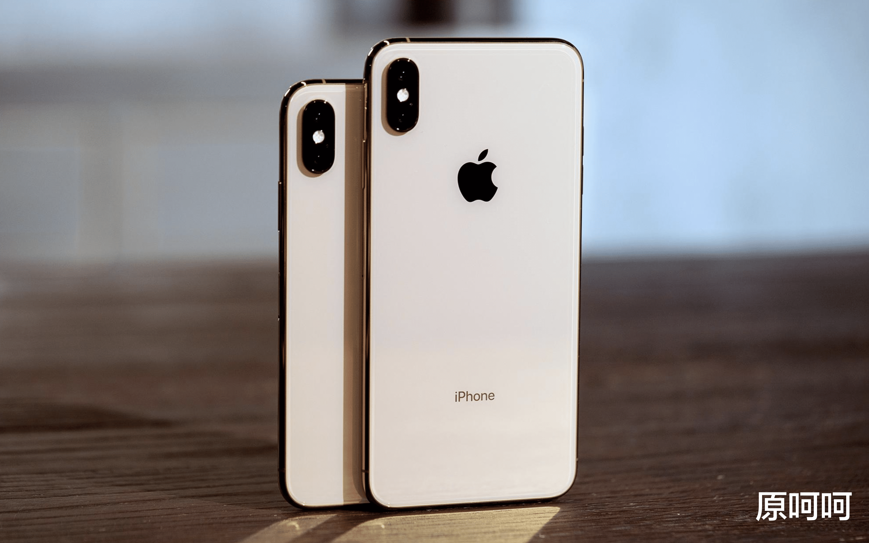 iphone12|2021年这9款最佳的iPhone值得推荐：适合所有用户，您喜欢谁？