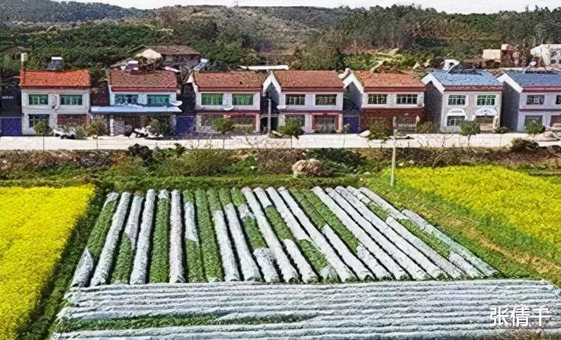 滨湖|农村有房的需注意！住宅“新规定”出炉，不符合这一政策或拆除