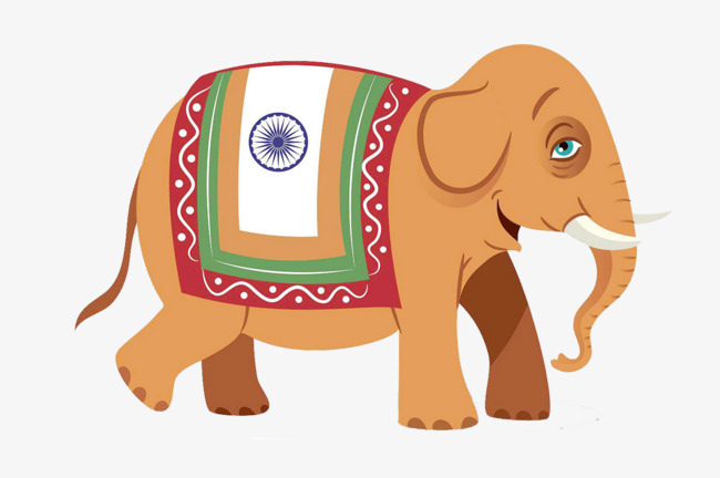 爱趣探所|5个趣味新知：受精卵会发光，西瓜是“非瓜”，电视剧正在抛弃男性