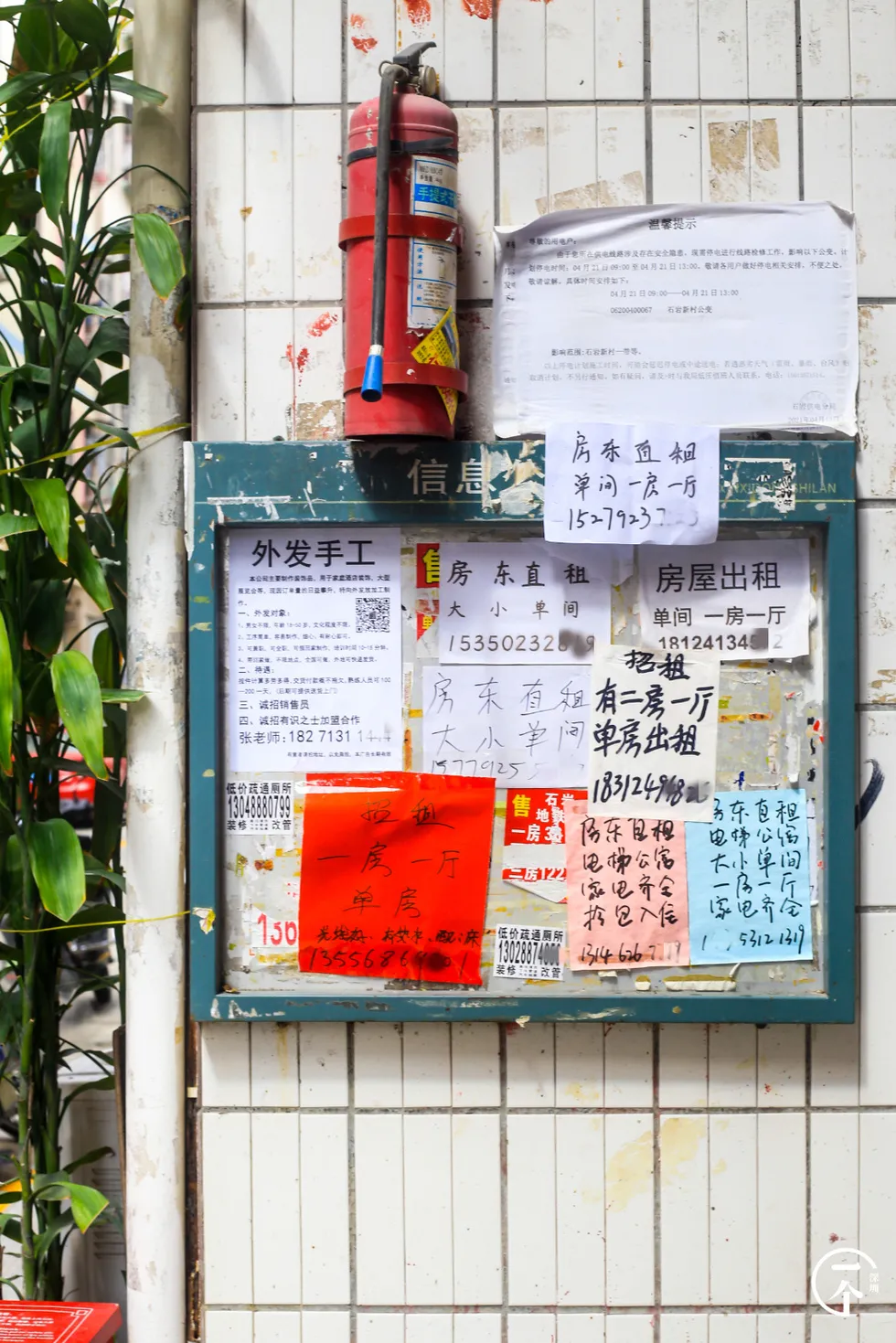 房贷|深圳“厂哥村”，女生可以百里挑一？
