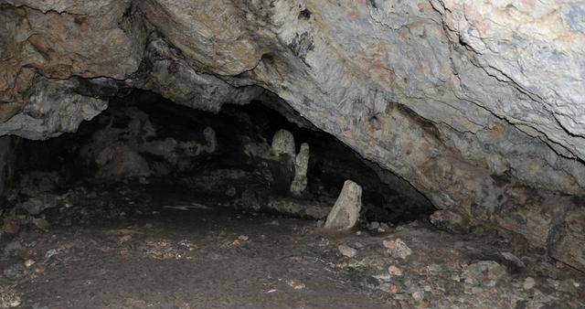 科学家 科学家进入550万年前的洞穴，发现“外星世界”，打破了生命认知