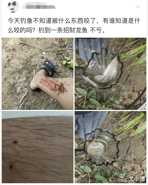 农业农村部|去钓鱼不知被啥咬了，这就想吃席了？哈哈哈