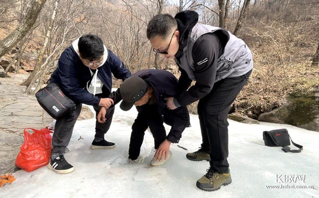 长城网 微视频｜方圆20里地守峰护林路，老戎一走就是12年