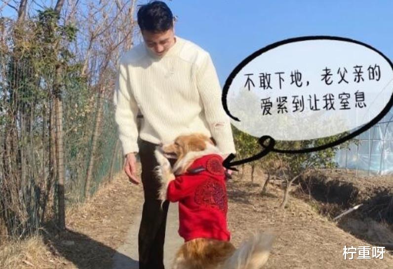 柠重呀|林生斌老婆朋友圈曝光，实锤林生斌撒谎事实，深情人设彻底崩塌