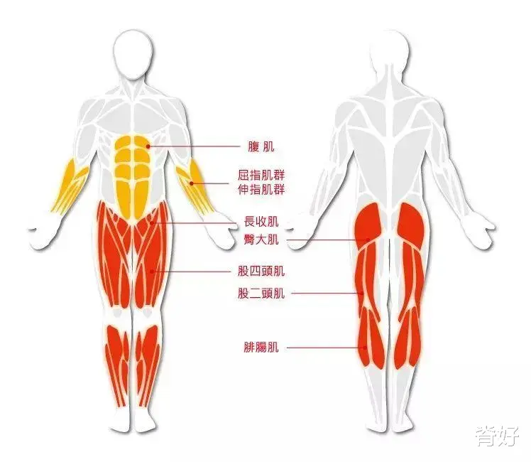 哮喘|腰腿痛的病因，全在这里了！（干货收藏）