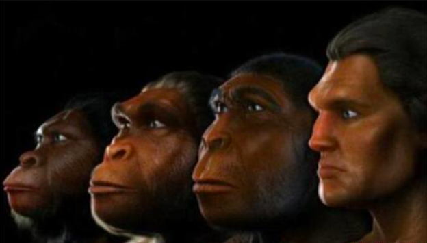 科学家 人类经过进化后，褪去了全身除头发和阴部毛发，科学家：为了散热！