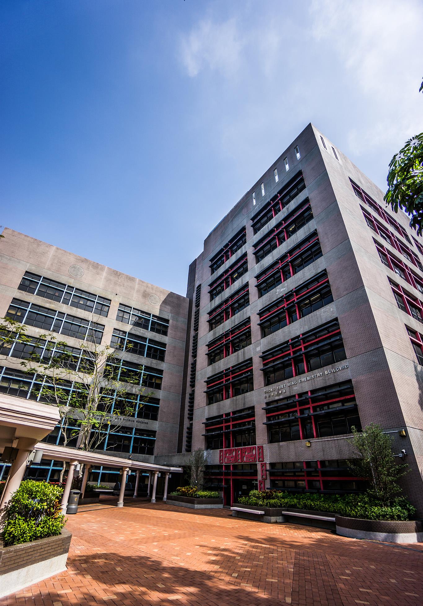 勇往直前的潇潇|恭喜！香港大学入驻深圳，一所“新大学”让当地的学子喜极而泣