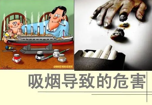 曲草堂滋补养生旗舰店 吸烟危害大，虫草为你的“肺”保驾护航