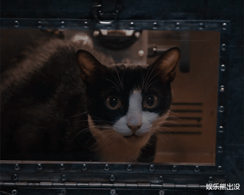 薛定谔 《天目危机》炸了，由“薛定谔的猫”入手，解析意识分级的疯狂