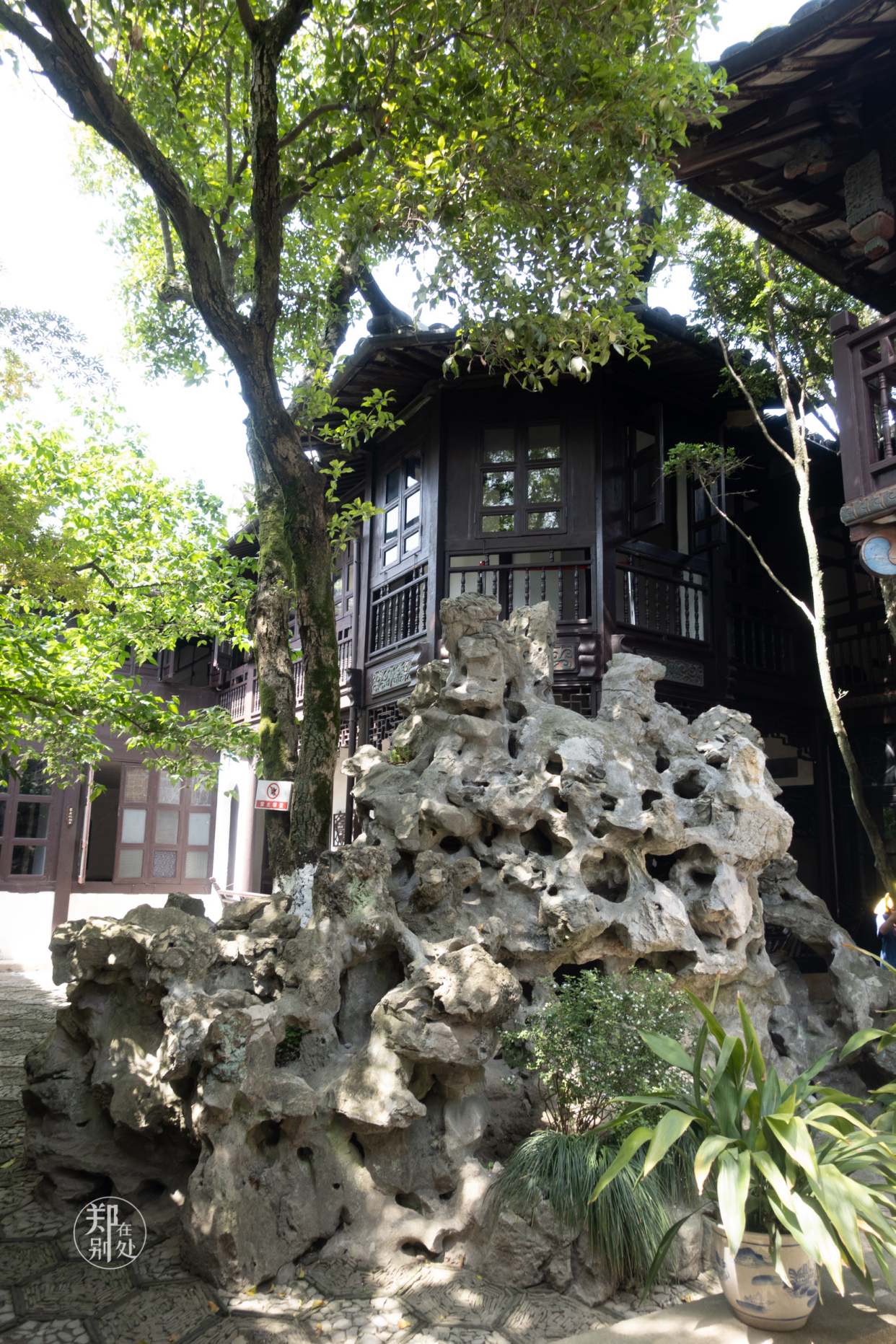 郑在别处 江南百年老宅，难得保持着百年前的风貌，适合拍民国婚纱照