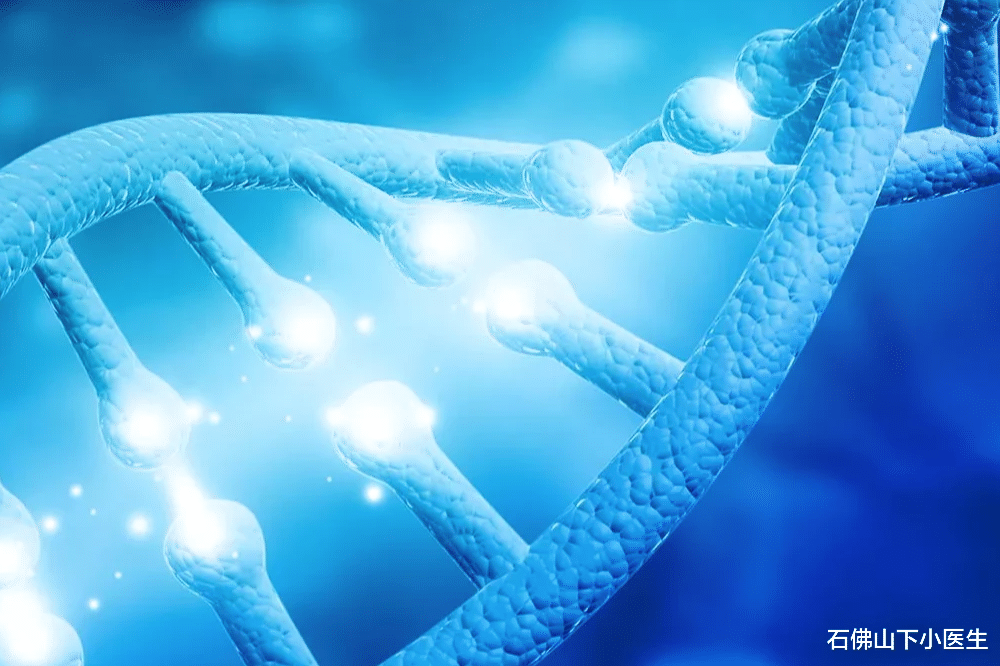 石佛山下小医生|高尿酸血症的患者，能不能吃瓜子？