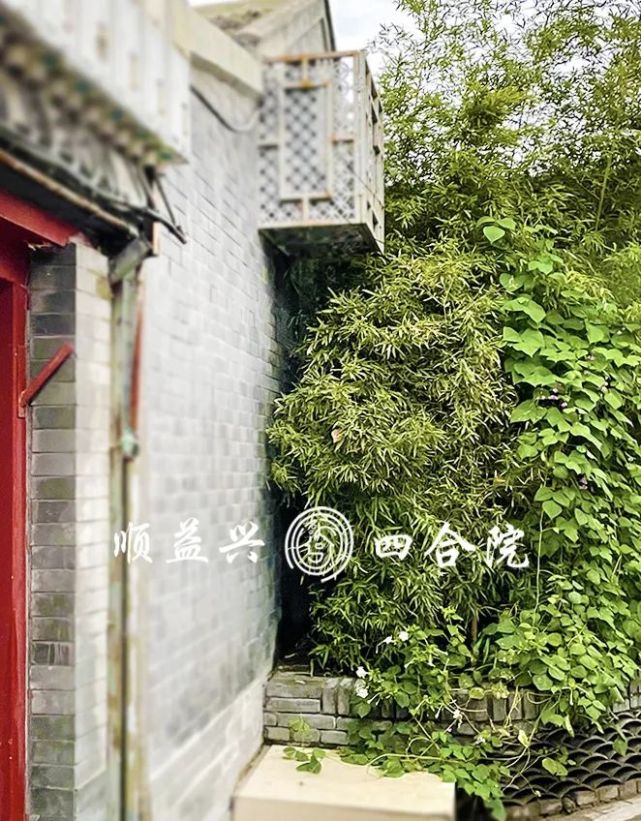 购房置业|【北京美术馆四合院出租】文艺小院，寄寓生活闲情