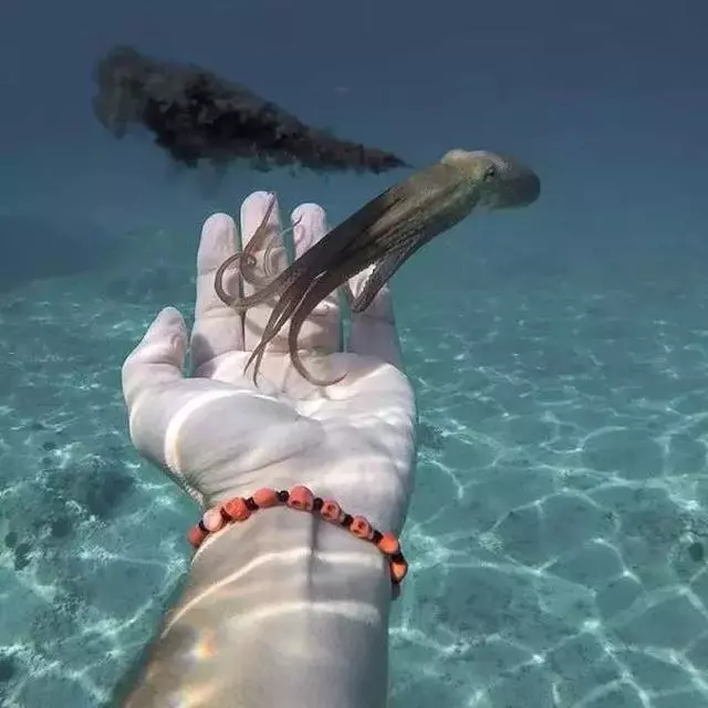 35p一般不常见的“野图”