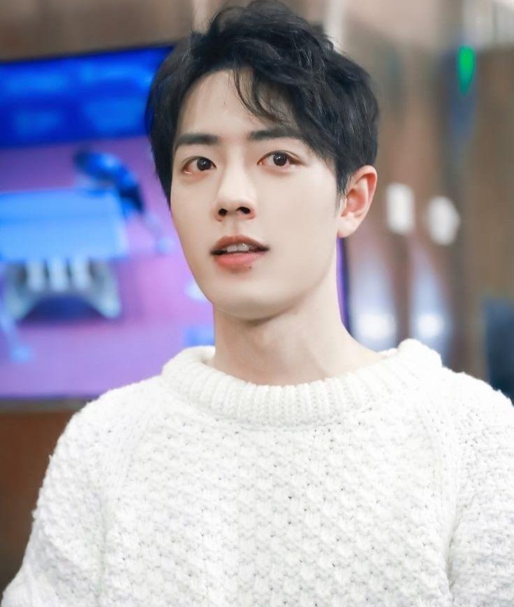 肖战|肖战，张予曦，金晨，赵露思，林更新，鞠婧祎，姚安娜，王子文